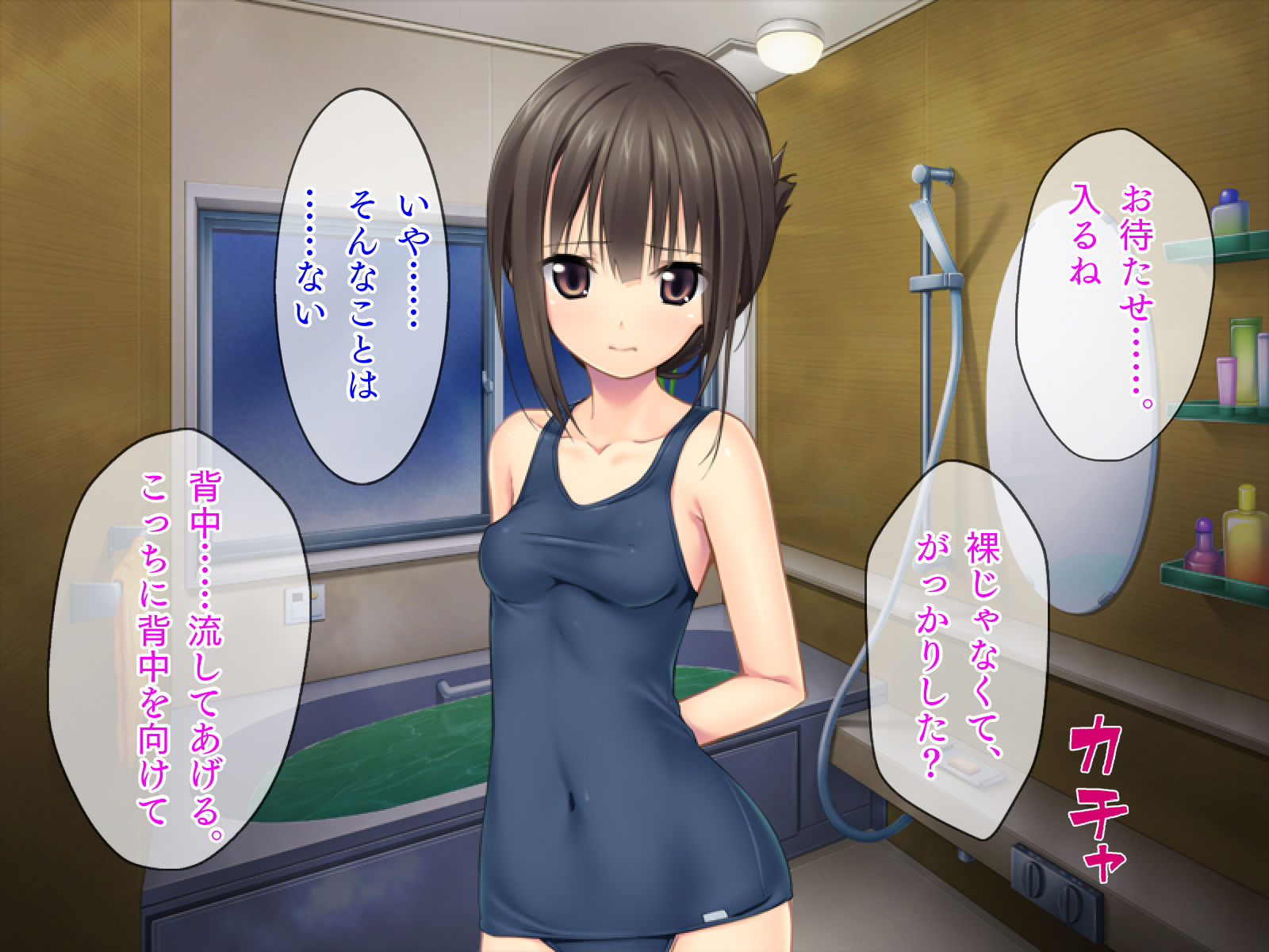 サンプル画像3:お兄ちゃんとビクンビクン保健体育(TGA) [d_148962]