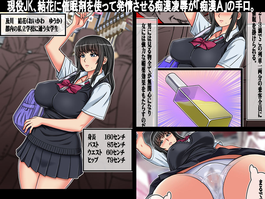 サンプル画像1:凌辱種付け痴漢電車 JK処女を満員電車で嬲る(地下室) [d_150827]