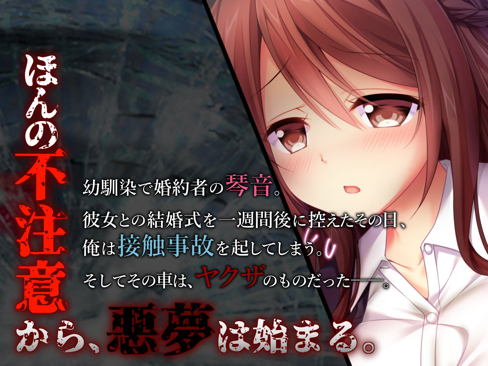 サンプル画像1:真夏の夜の悪夢～示談の条件とは～(おばんざい☆スタジオ) [d_152646]