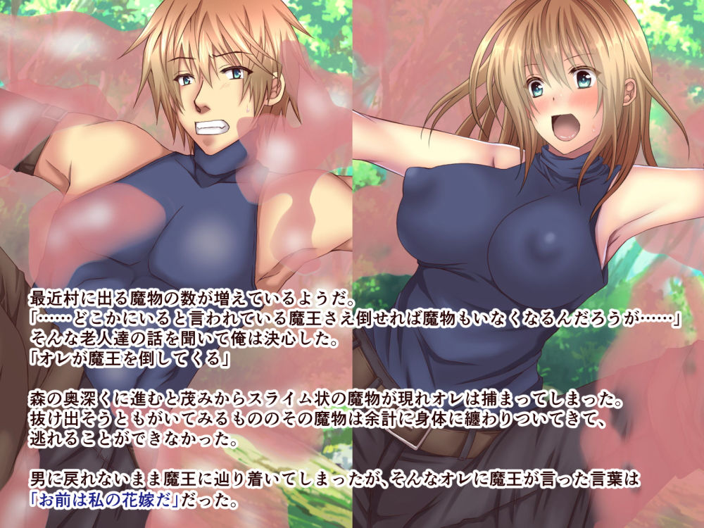 サンプル画像3:敗北勇者の女体化エンド(氷月) [d_153716]