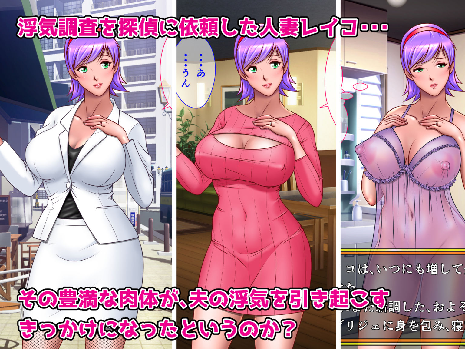 サンプル画像1:ドメスティック案件1:白河レイコの調査ファイル(NTRシステム) [d_156907]