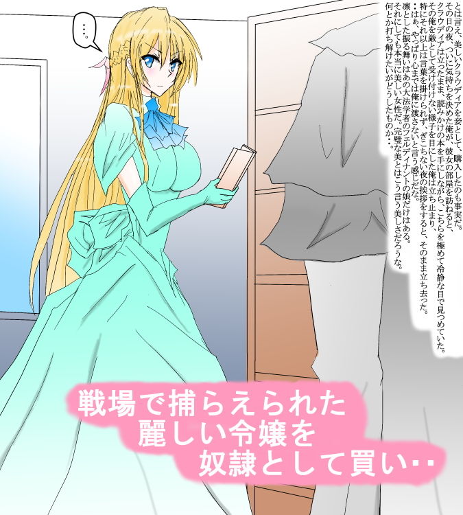 サンプル画像1:奴隷商人に売られた深窓の令嬢(スタジオめいるー) [d_157627]