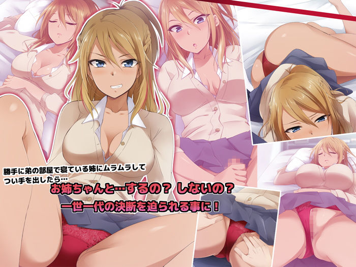 サンプル画像1:お姉ちゃんのギャルまんこに種付けしたい(HELLTER SKELTER) [d_158766]