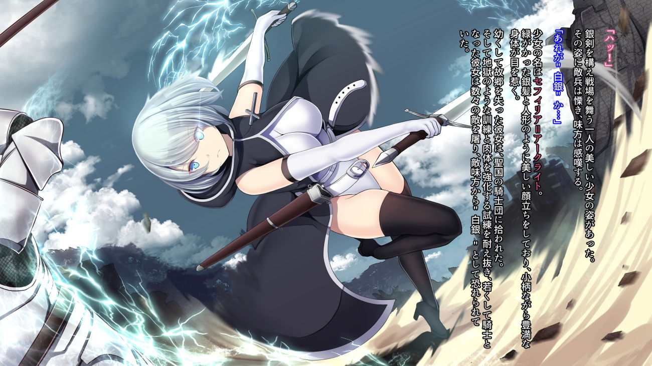 サンプル画像2:戦姫バッドエンド -クールヒロイン無様敗北CG集-(妄想Caution) [d_160223]