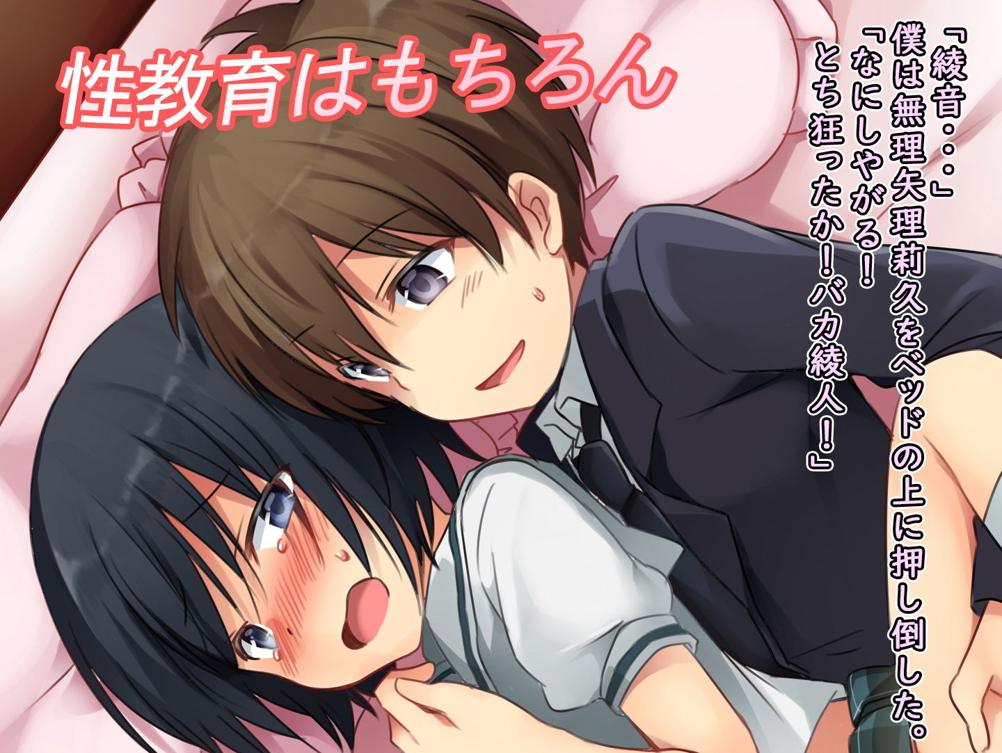 サンプル画像4:僕の新しい義兄（いもうと）(恥辱庵) [d_160459]