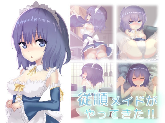 従順メイドがやってきた!!のジャケット