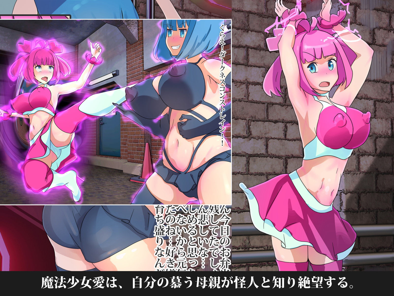 サンプル画像2:悪堕ち魔法少女(とんでもあわび姫) [d_160831]