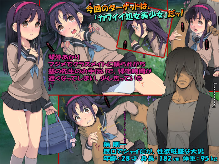 サンプル画像2:たんたん姦 ～美少女レイプ、待ち伏せて粛々と～(黒毛と桃汁) [d_160924]