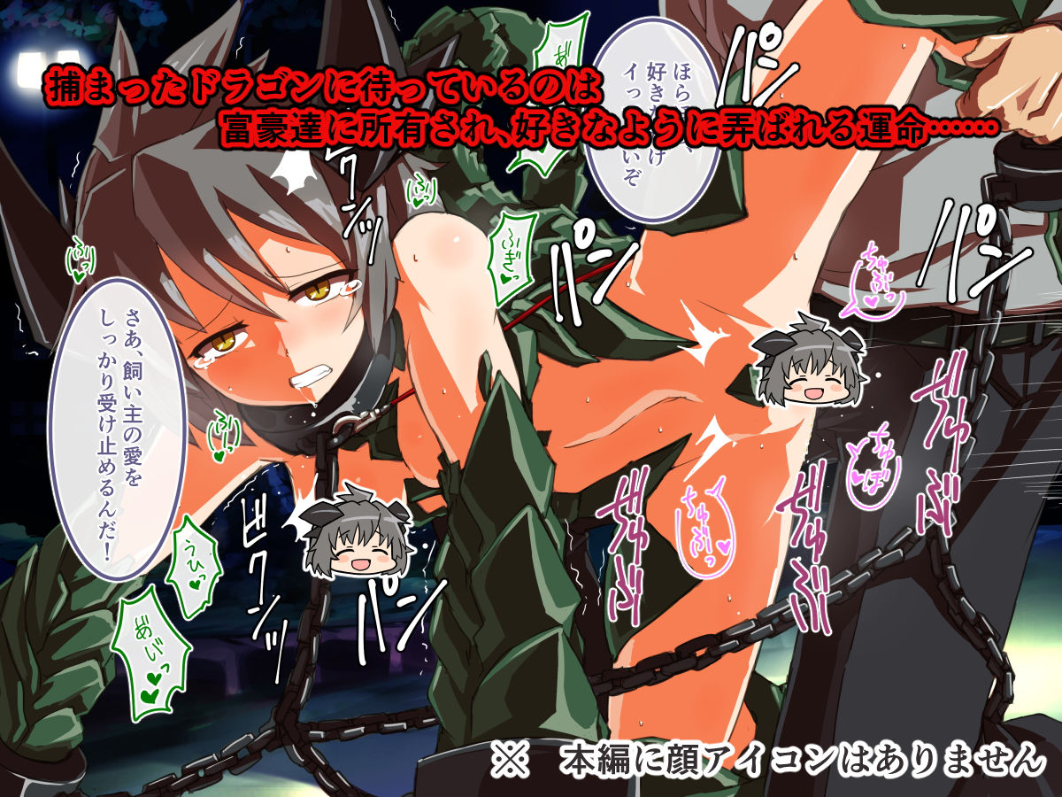 サンプル画像2:ドラゴンハンター Vol.01(プランクトンセスナ) [d_167205]