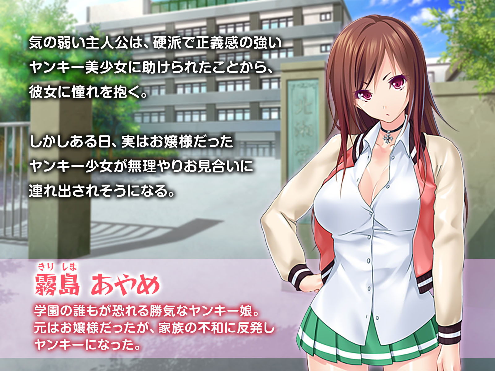 サンプル画像1:ボインなツンデレヤンキーちゃんとイチャイチャ子作りライフ ～ア●ルもま●こも孕ませて～(どろっぷす！) [d_168937]