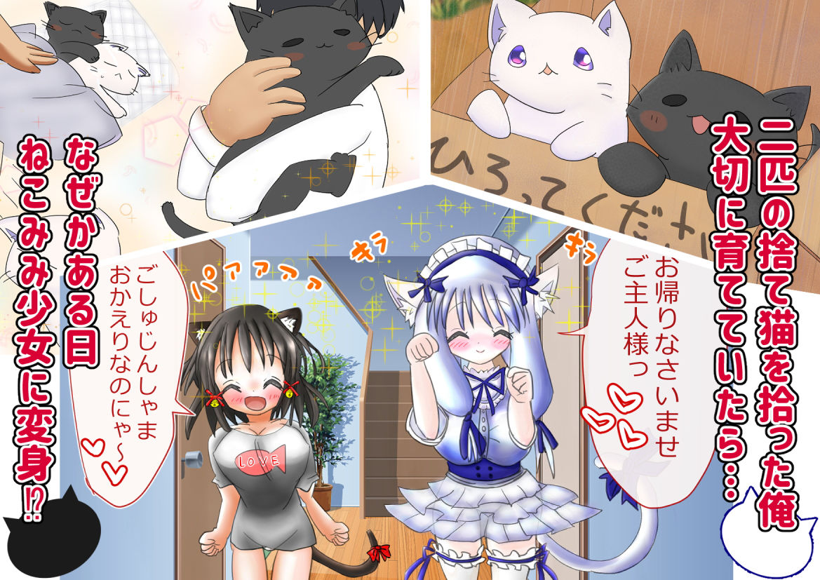 サンプル画像1:猫耳少女のHな恩返し～拾ってくれたお返しにHなご奉仕しますニャン～(おとめプラス) [d_174197]