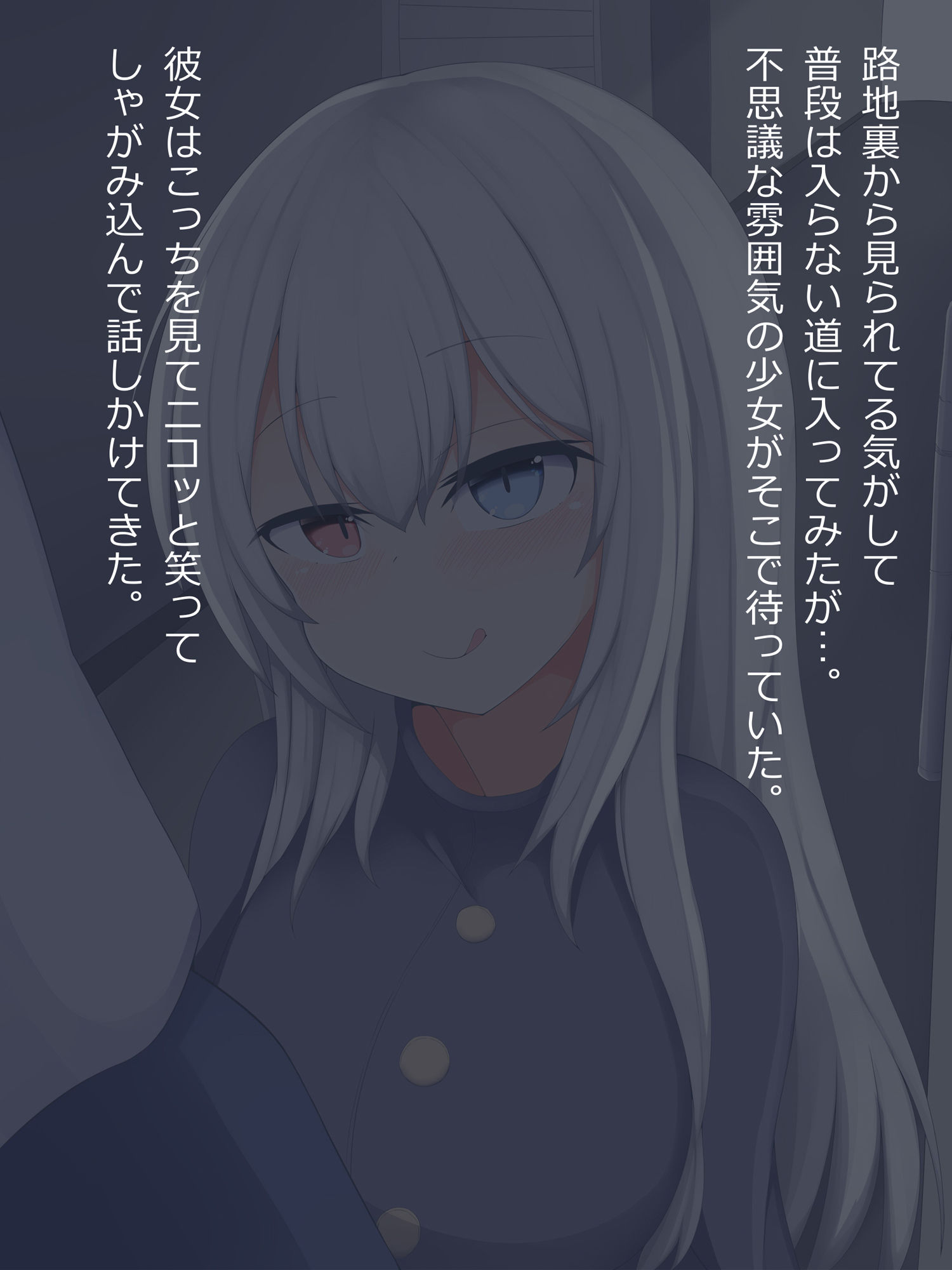 サンプル画像1:サキュバスちゃんの餌-路地裏痴女に出会ってサキュバスの餌になっちゃうお話(あーるつーえいち) [d_174389]