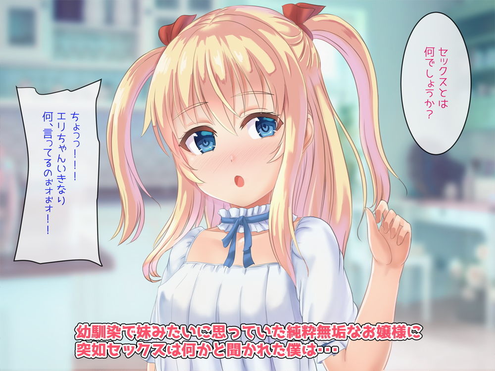 サンプル画像1:温室育ちのお嬢様にエロゲの知識しかない俺が Hな授業をすることになった件！(ハイパーうさぎ工房) [d_174430]