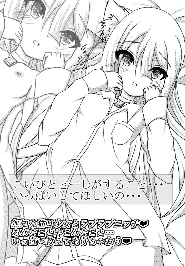 サンプル画像3:猫耳少女と結ばれたら…～初めてのエッチ【前編】～(しろいきょとー) [d_174792]