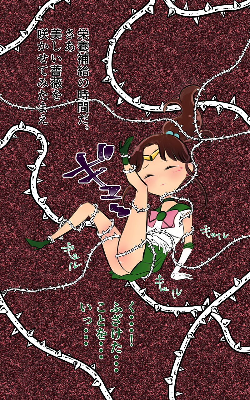 サンプル画像4:ちびちびセーラーおしおきしたい！！！(にゃんこマテリアル) [d_174835]