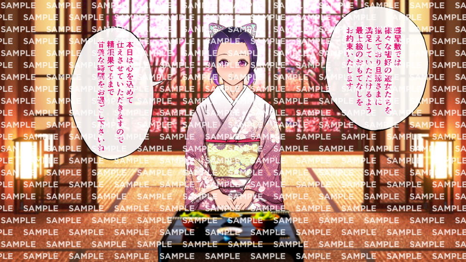 サンプル画像1:風俗蝶屋敷(春花楼) [d_175651]