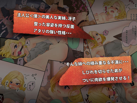 サンプル画像1:家庭性交(まる巳亭) [d_175769]