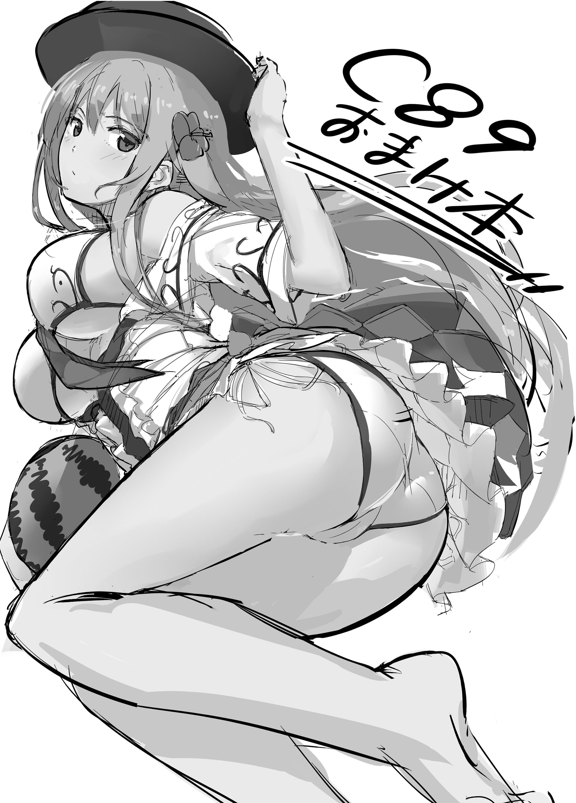 天子画報・V ＆ VI ＋ C89 ＆ C90おまけ本