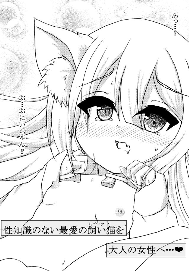 サンプル画像2:猫耳少女と結ばれたら…～初めてのエッチ【後編】～(しろいきょとー) [d_179740]