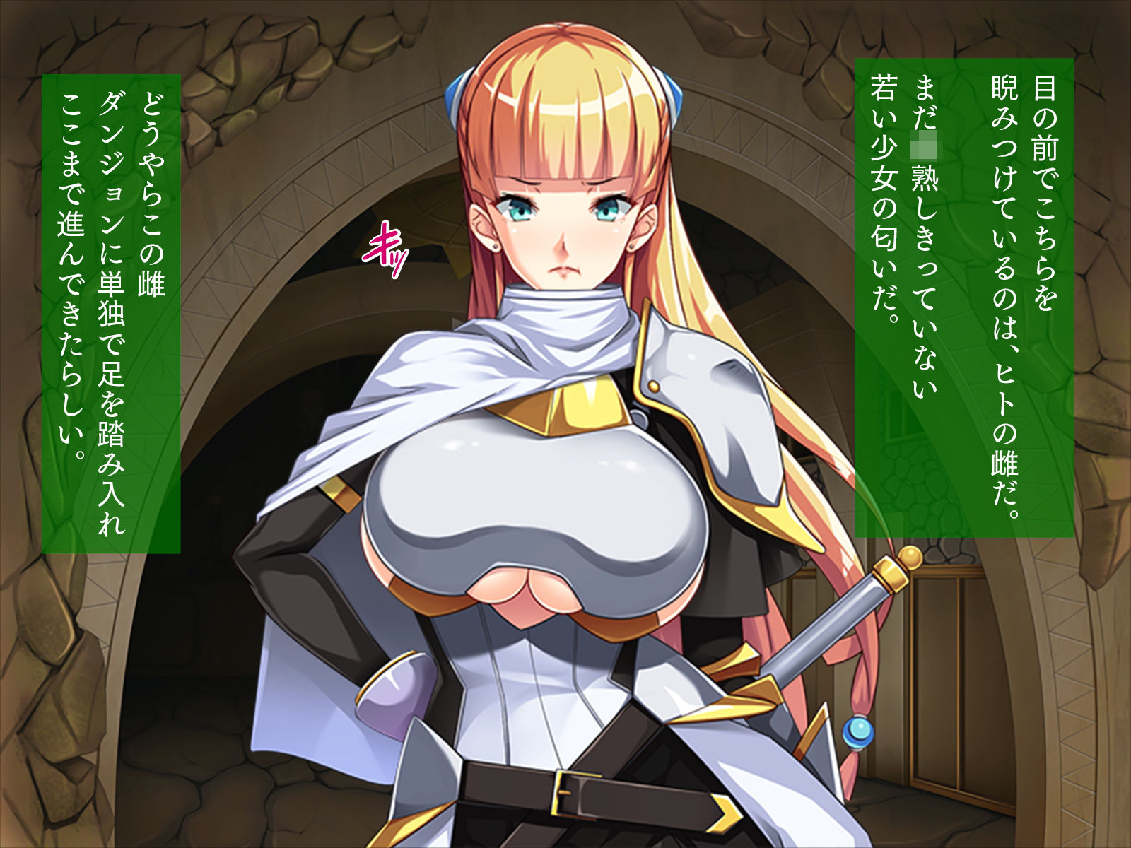 サンプル画像1:女騎士、オークに目覚める「私はオークが嫌いなはずなのに……」(TGA) [d_179980]