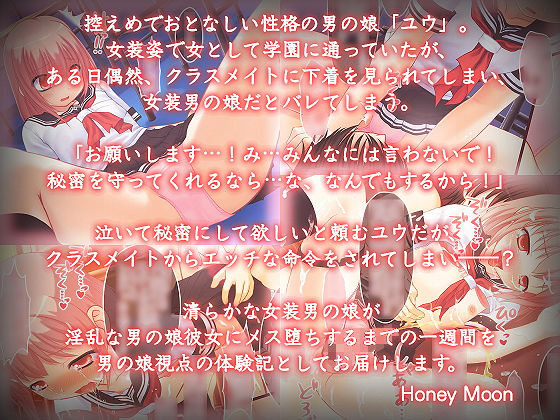 サンプル画像1:女装男の娘メス堕ち一週間体験記(Honey Moon) [d_180304]