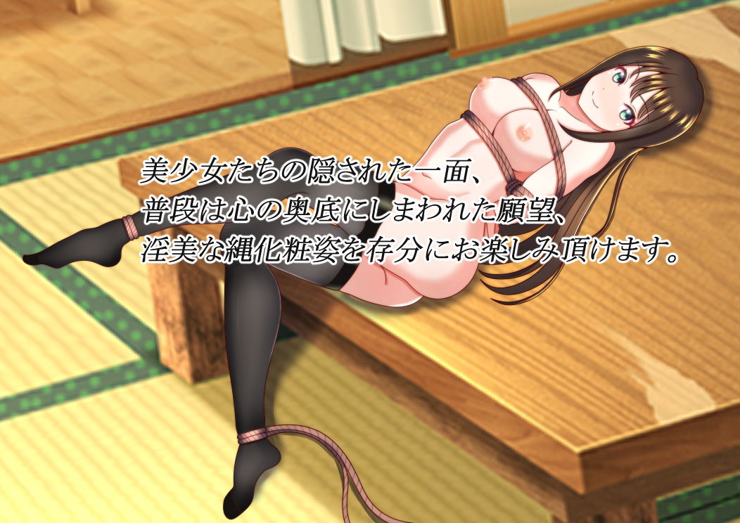 サンプル画像1:美少女緊縛図鑑3(ビッグスリック) [d_180632]