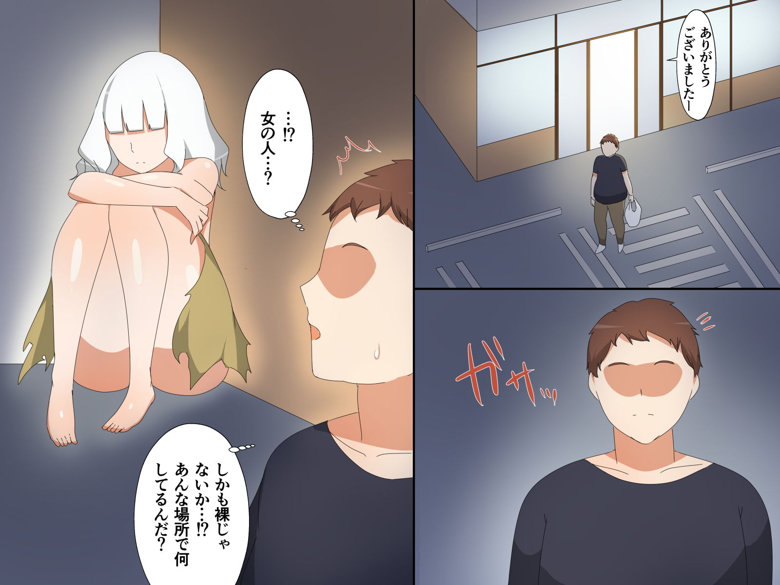 サンプル画像1:性知識ゼロの異世界美少女を拾ったのでま○こもアナルもいっきに犯しました(ぬーぬー部) [d_181704]