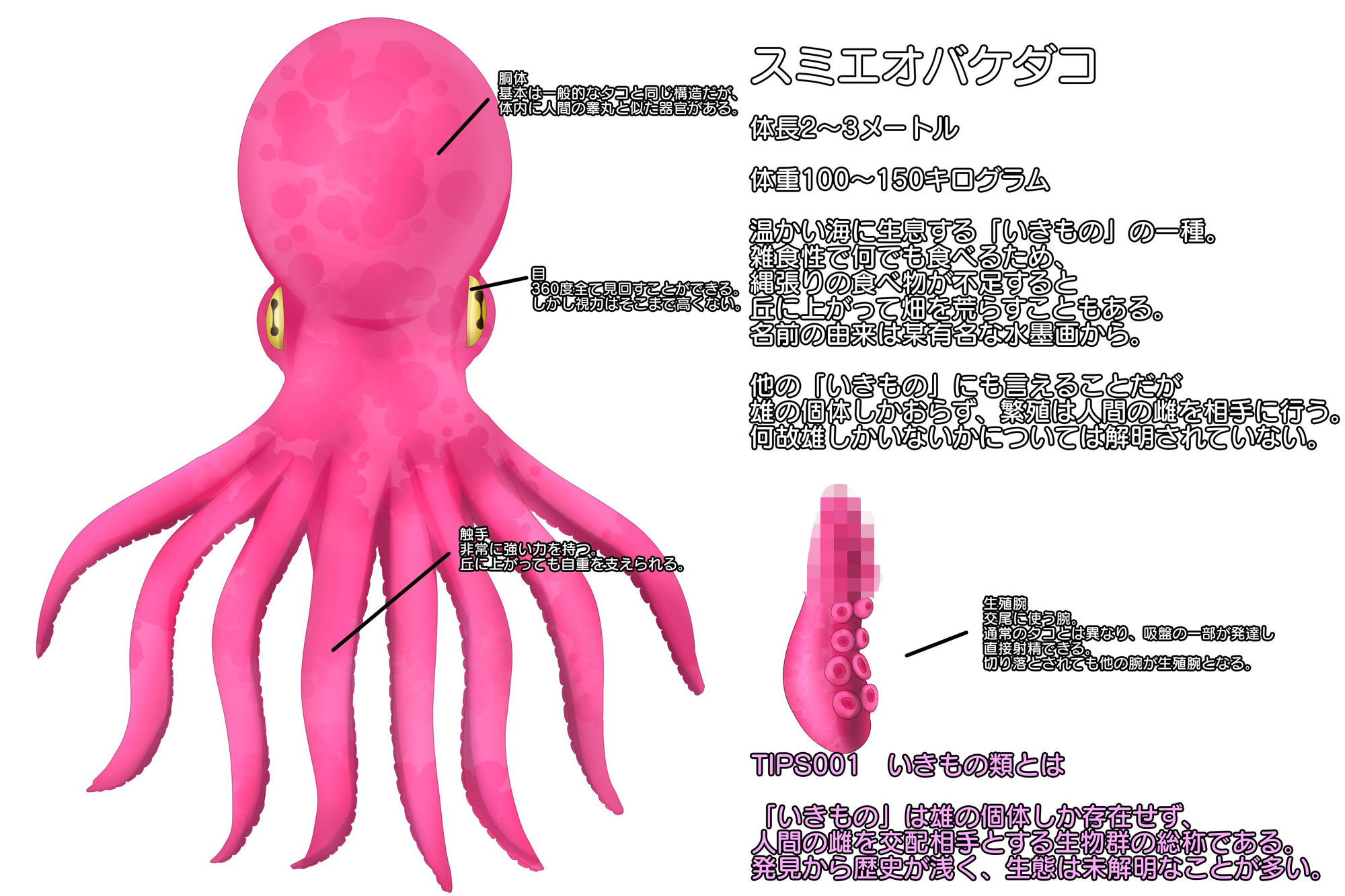 サンプル画像5:いきもの大好き！こはるちゃん！(スタジオインスタント) [d_183102]