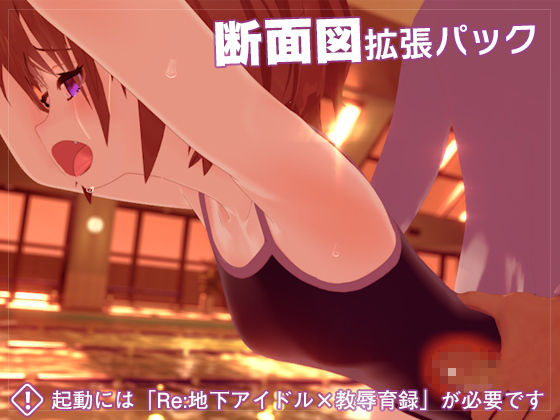 サンプル画像1:Re:地下アイドル×教辱育録 断面図追加パック(ナイロンハート) [d_183695]