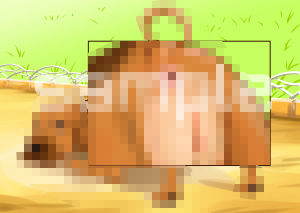 サンプル画像1:ブ○ッドハ○ンド(tontoro) [d_185451]