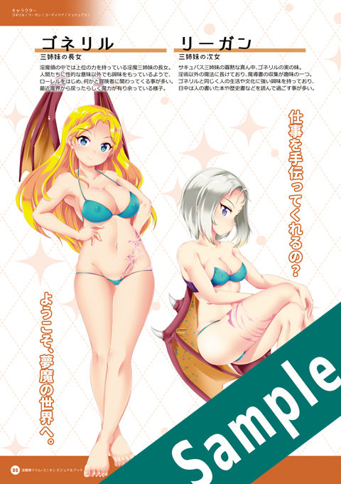 サンプル画像2:淫魔領リリム・ユニオン 公式ビジュアルブック(月の水企画) [d_186122]