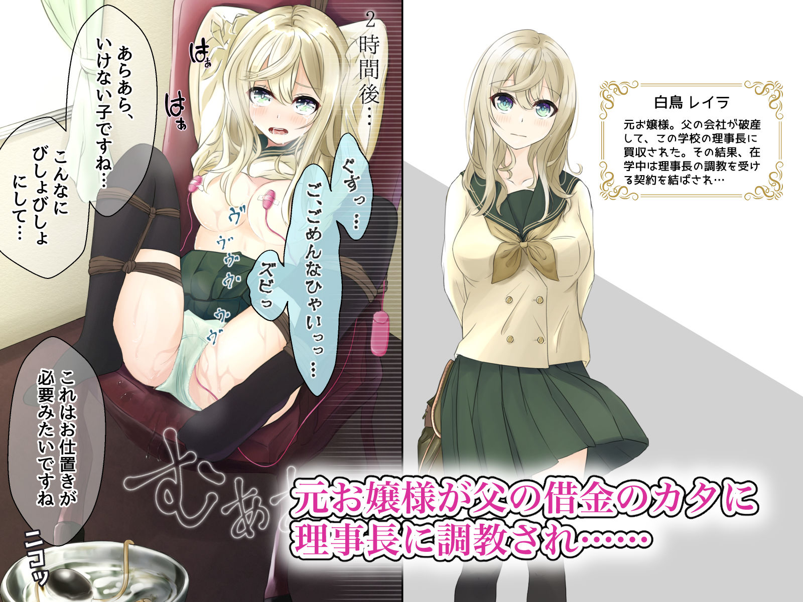 サンプル画像2:制服で縛られておもちゃ責め(なのなんの亭) [d_187986]