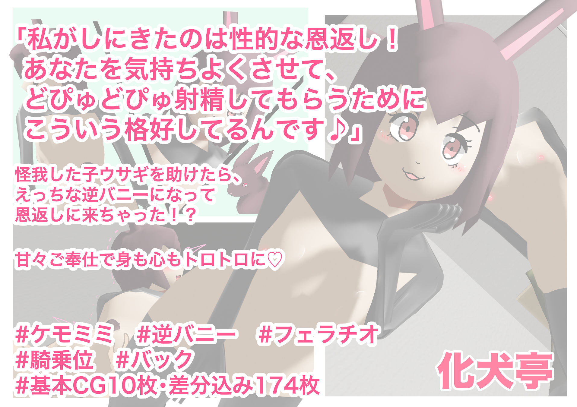 サンプル画像1:先日助けていただいた逆バニーです！(化犬亭) [d_189700]