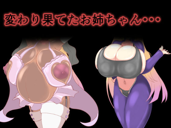 サンプル画像5:お姉ちゃんの身体は俺のモノ(スタジオシロッコ) [d_189947]