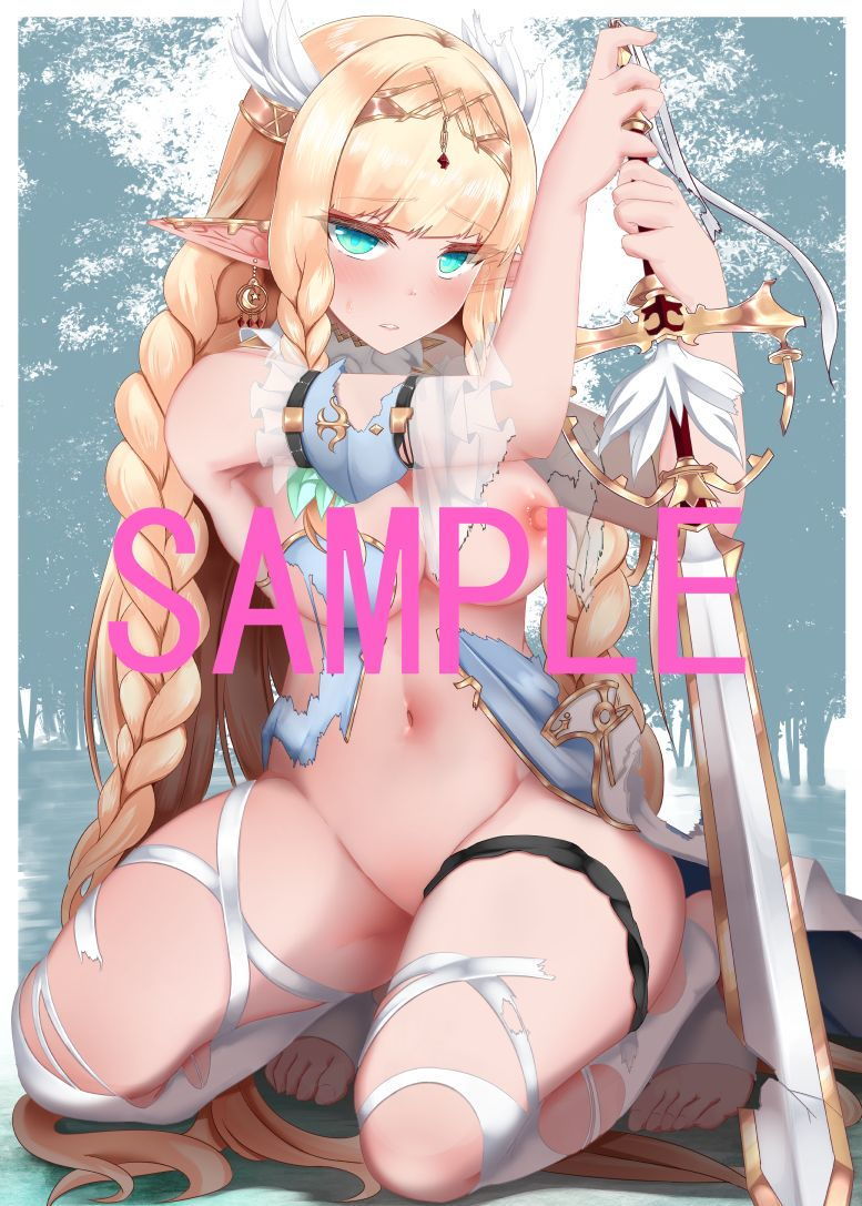 サンプル画像2:ドスケベエルフ合同3(ELF248) [d_193082]