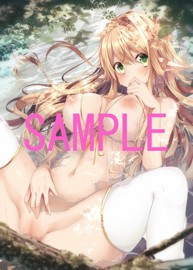 サンプル画像4:ドスケベエルフ合同3(ELF248) [d_193082]