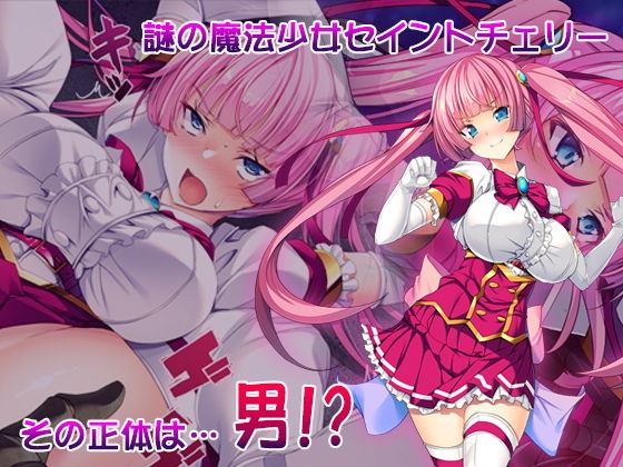 サンプル画像1:TS魔法少女セイントチェリー 屈服の悪堕ち洗脳調教編(とりのおいしいところ) [d_193161]