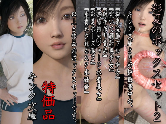 彩夏のボックスセット2 特価版のジャケット