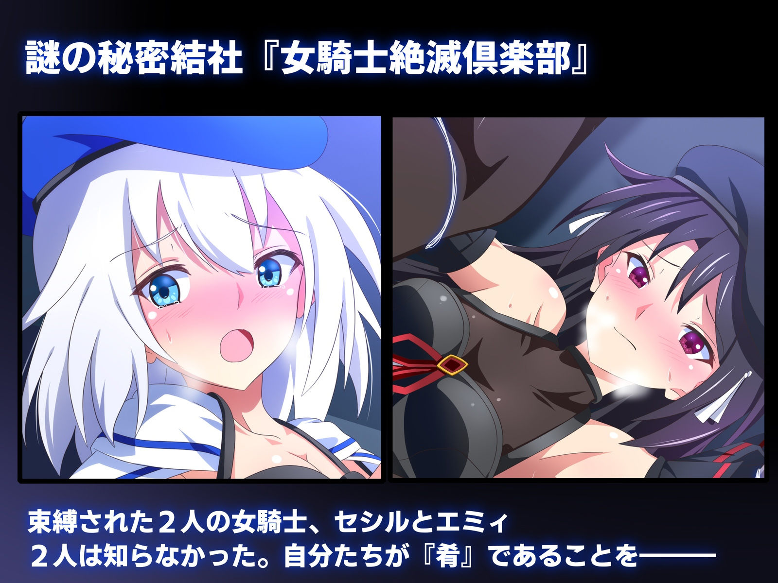 サンプル画像1:女騎士絶滅倶楽部(SecretLover) [d_195203]