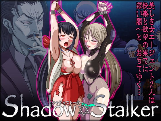 shadow stalker シャドーストーカーのジャケット