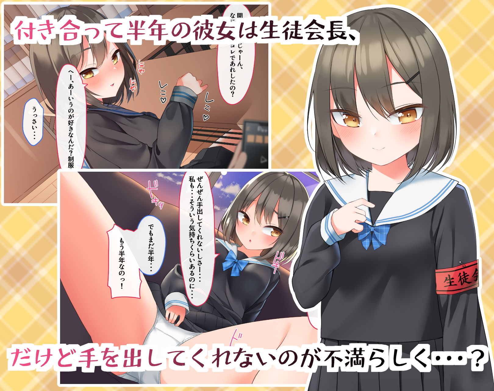 サンプル画像1:生徒会長をエロエロに改造する話(めんぼーれんぽー) [d_196674]