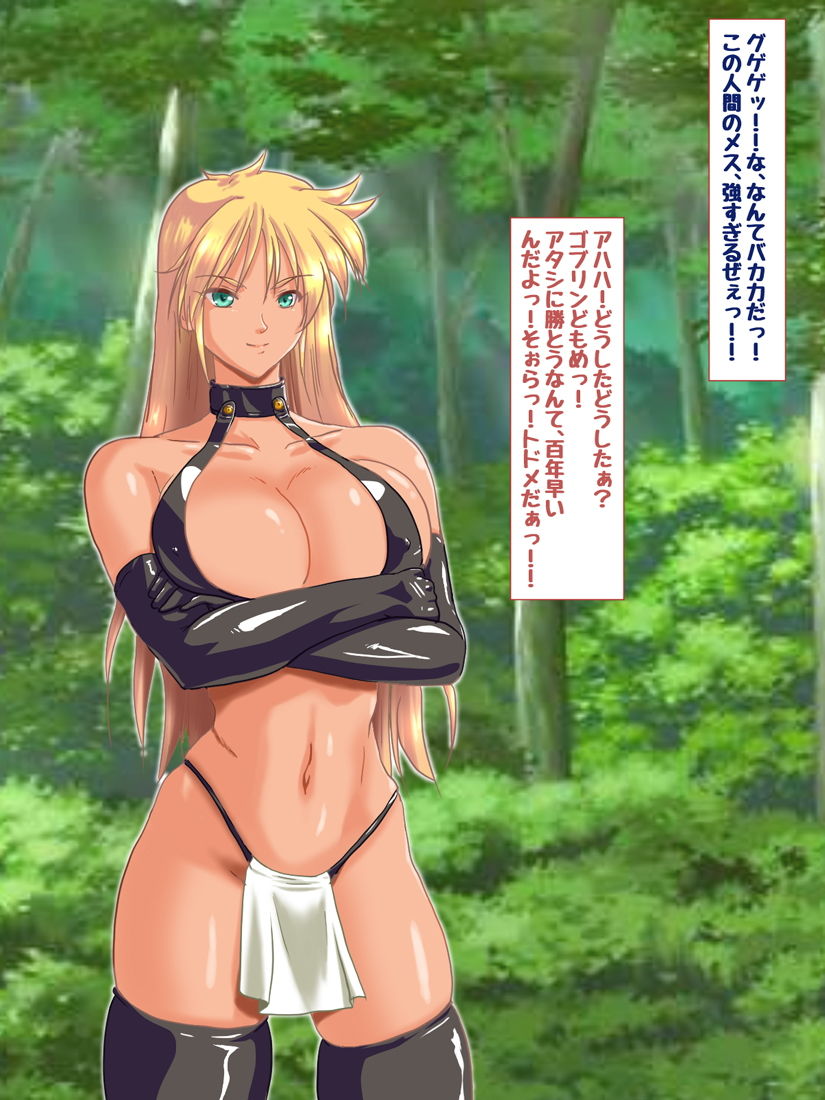 サンプル画像2:新 ゴブリンVS女戦士ちゃん(HANGON) [d_197277]