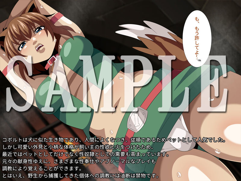 サンプル画像1:魔物娘の調教ガイドvol.3-コボルト-(ギーフカート) [d_198340]