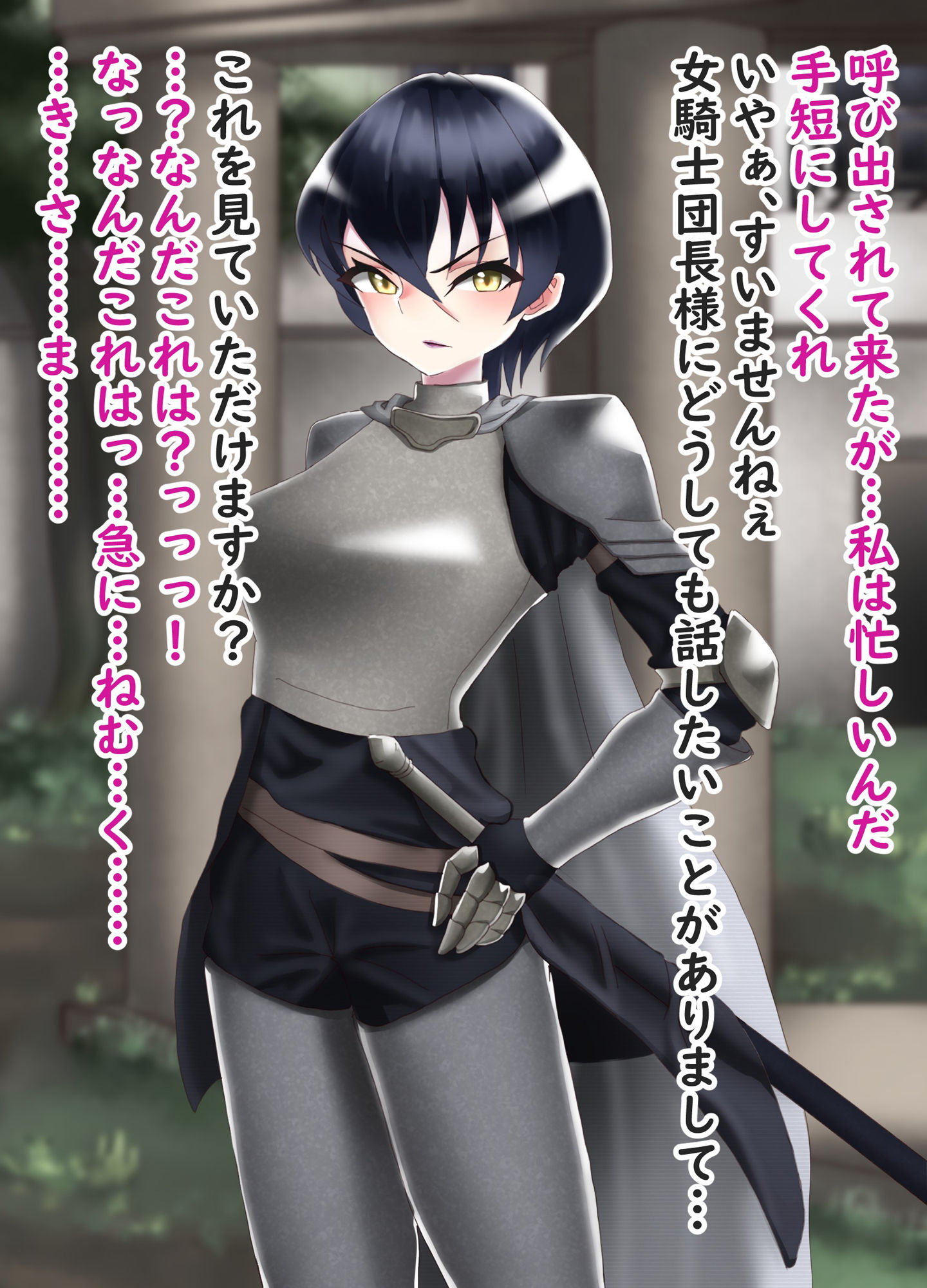 サンプル画像1:女騎士団長を無理やりヤったら付き合うことになった話(冬空いずも) [d_198891]