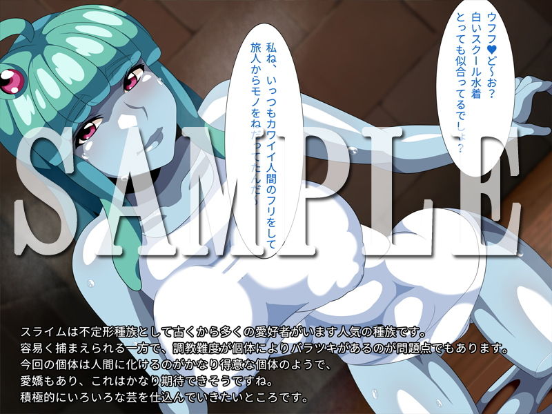 サンプル画像1:魔物娘の調教ガイドvol.4-スライム-(ギーフカート) [d_200585]