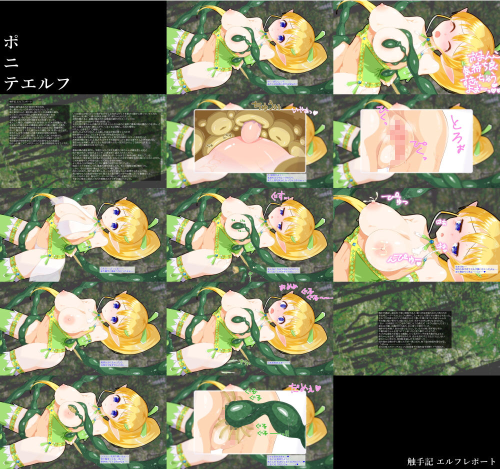 サンプル画像3:触手記 エルフレポート(サンダルニャン) [d_201886]