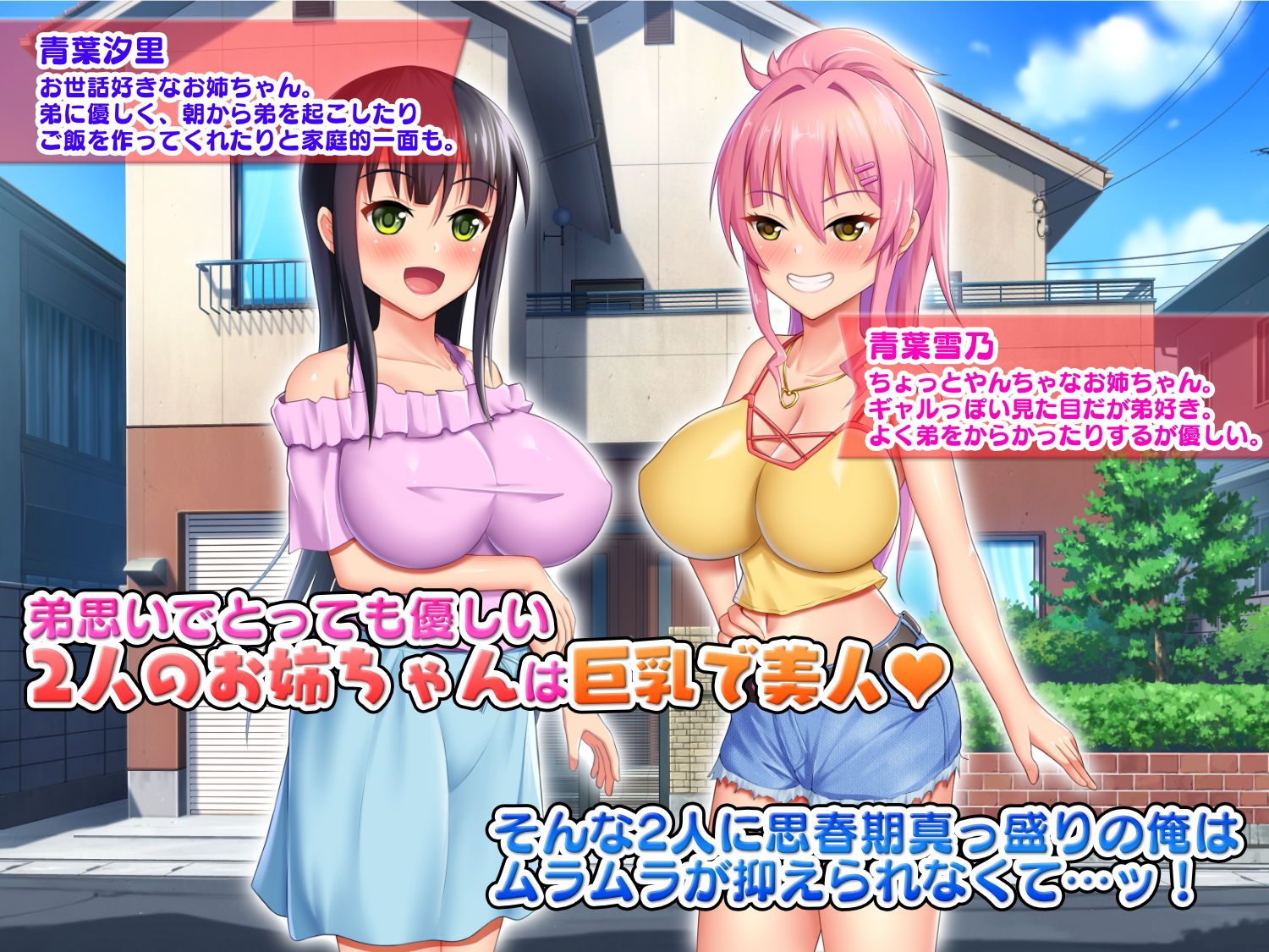 サンプル画像1:巨乳お姉ちゃん達に愛されるハーレム性活(目標群アルファ) [d_202017]