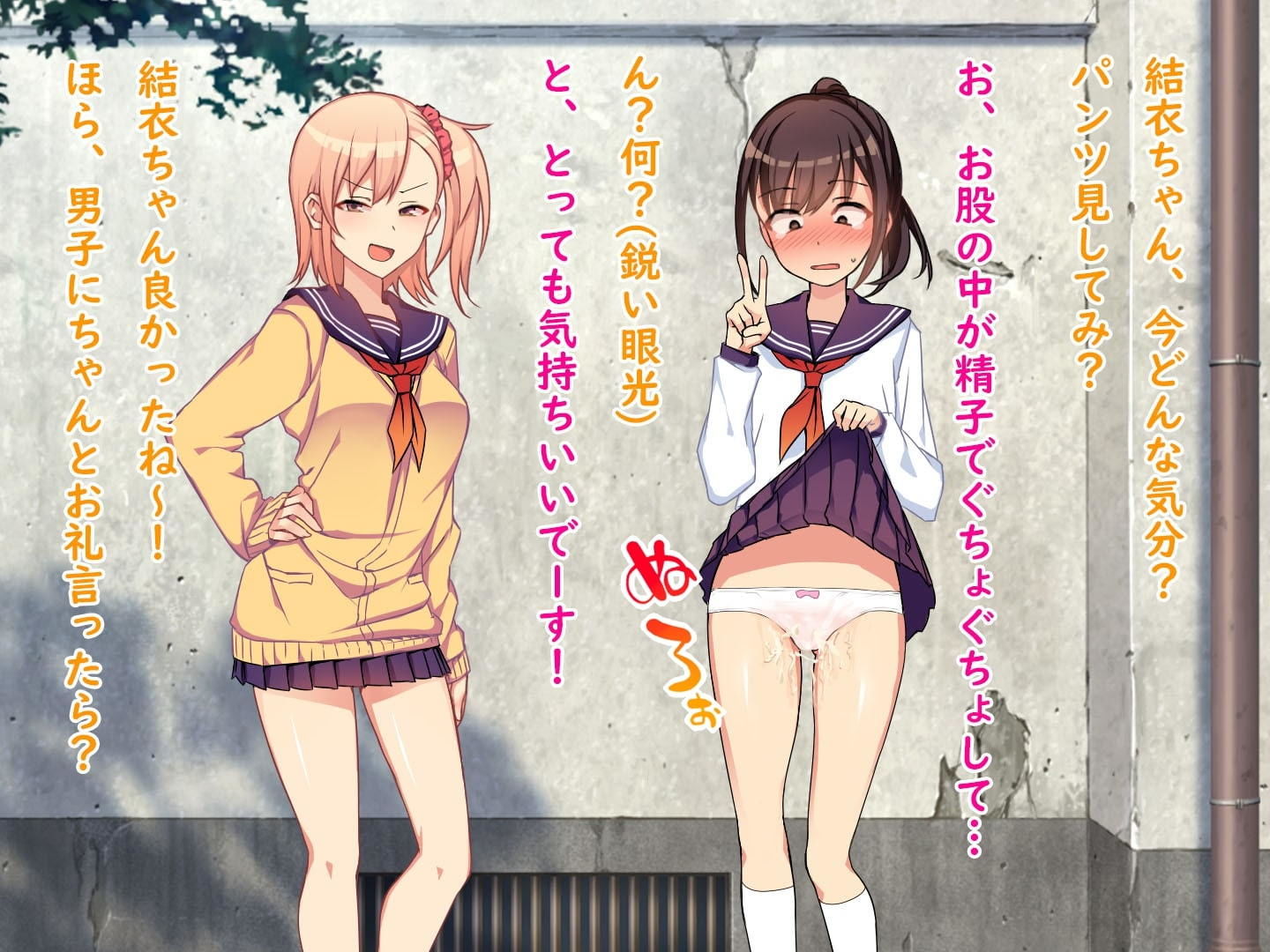 サンプル画像3:委員長の強●羞恥いじめ地獄、ガニ股ポーズでいつでもどこでも無様露出生活(怒りのもふもふ金玉が激突商会) [d_203004]