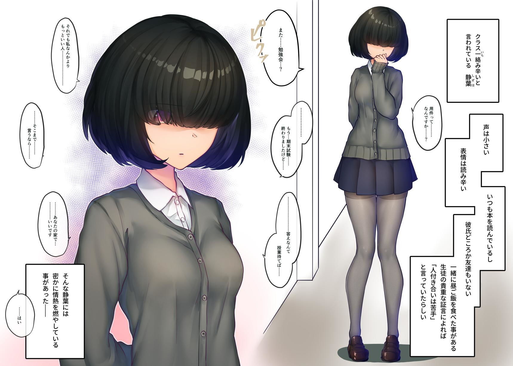 サンプル画像1:SK-H ZIP(ニーチェ) [d_204251]