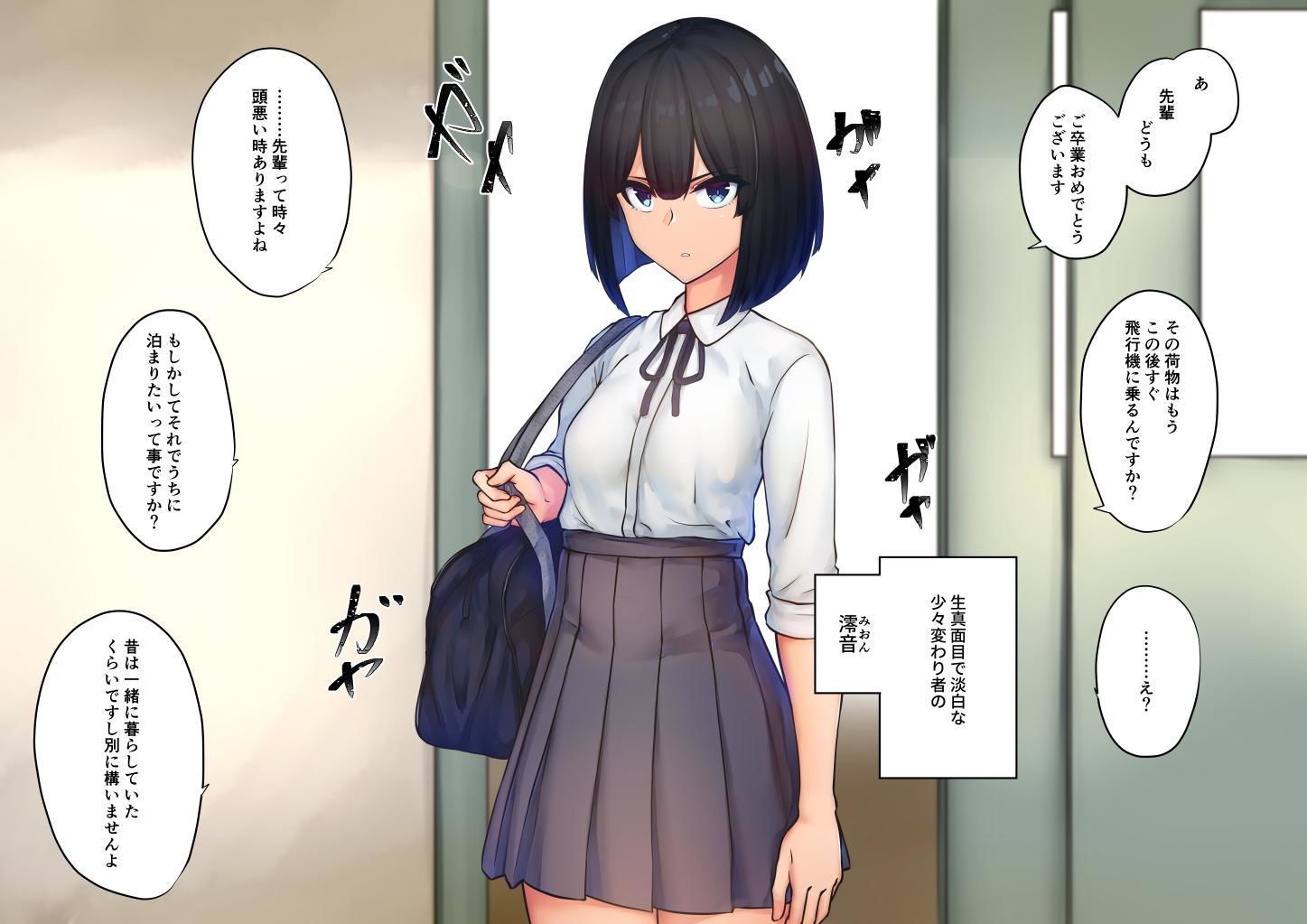 サンプル画像1:SK-H ZIP 淡(ニーチェ) [d_205614]